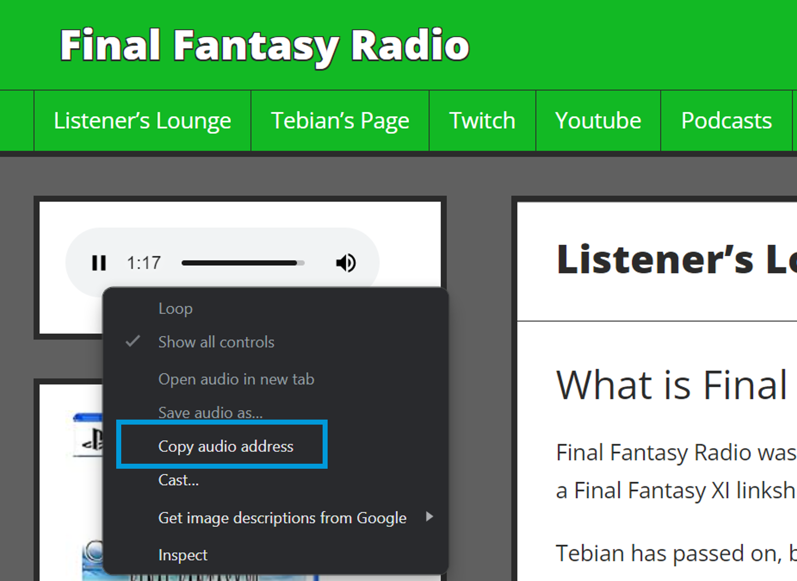 052_TuneIn CustomStation.png